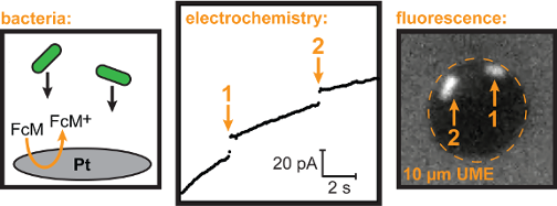 Electrochemical blocking collisions